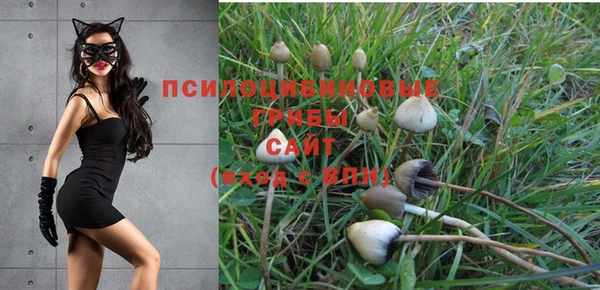 ALPHA PVP Магас