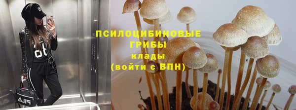 метадон Алзамай