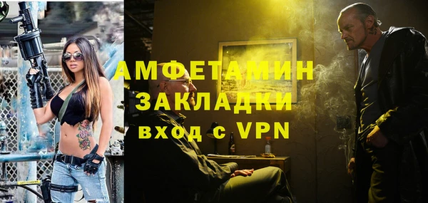 СК Алексин
