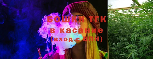 СК Алексин
